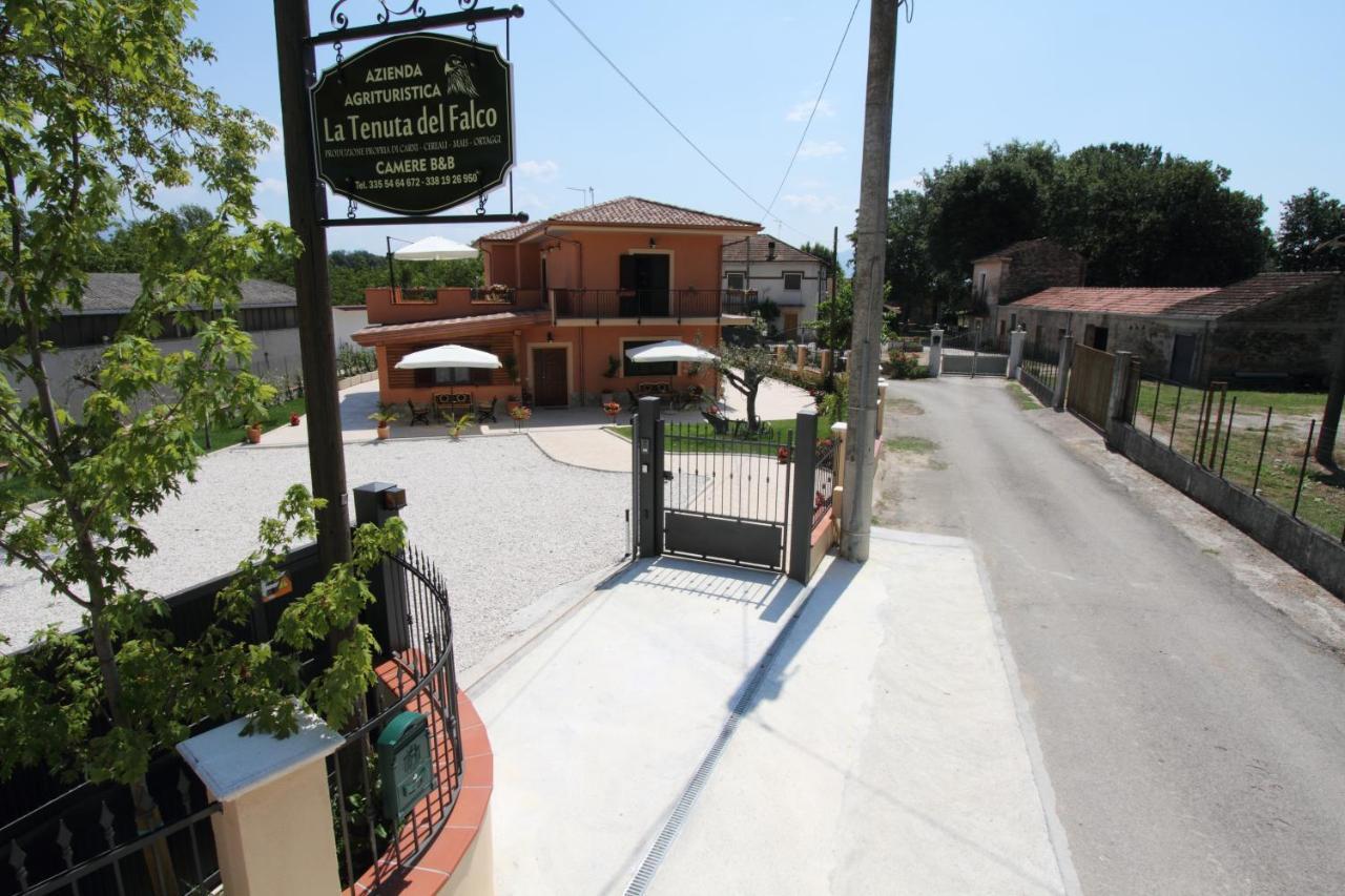 Azienda Agrituristica La Tenuta Del Falco Piedimonte San Germano Eksteriør billede