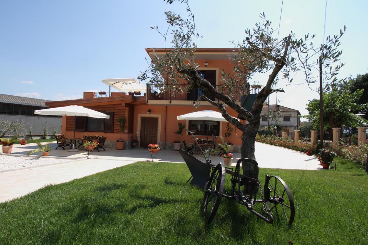 Azienda Agrituristica La Tenuta Del Falco Piedimonte San Germano Eksteriør billede