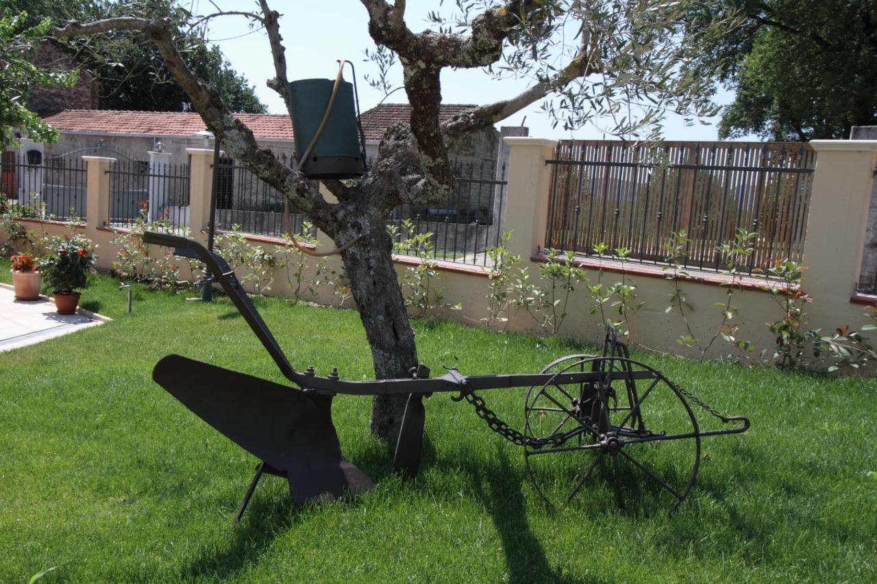 Azienda Agrituristica La Tenuta Del Falco Piedimonte San Germano Eksteriør billede