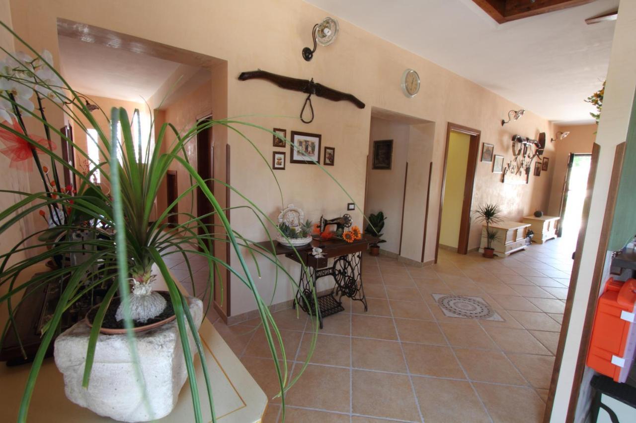 Azienda Agrituristica La Tenuta Del Falco Piedimonte San Germano Eksteriør billede